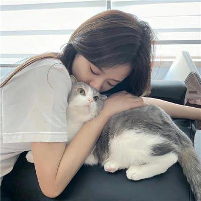 码头风云
