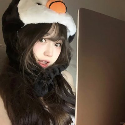 影子军队